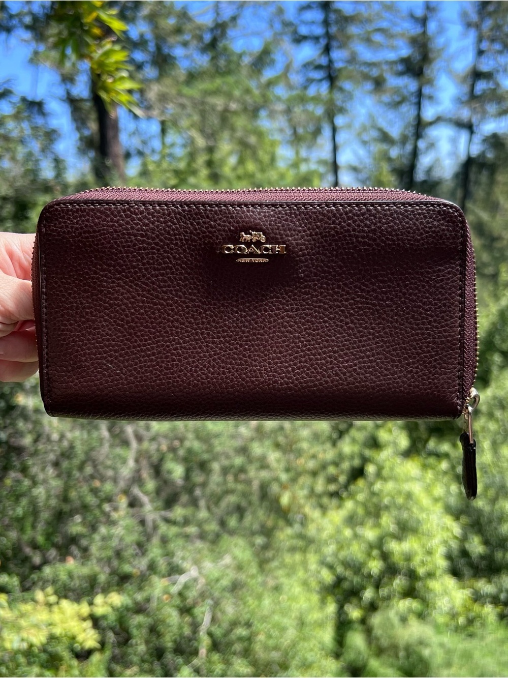 COACH Long Zip-Around Pebble Leather Wallet Credit Card Holder AUTHENTIC
